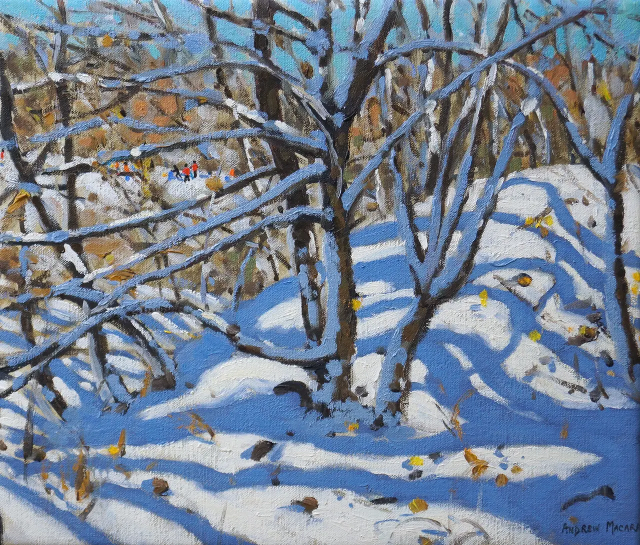 Andrew Macara - the copse, newhaven, derbyshire